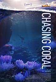 Chasing coral