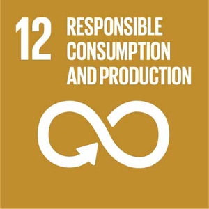12. Consommation et production responsable